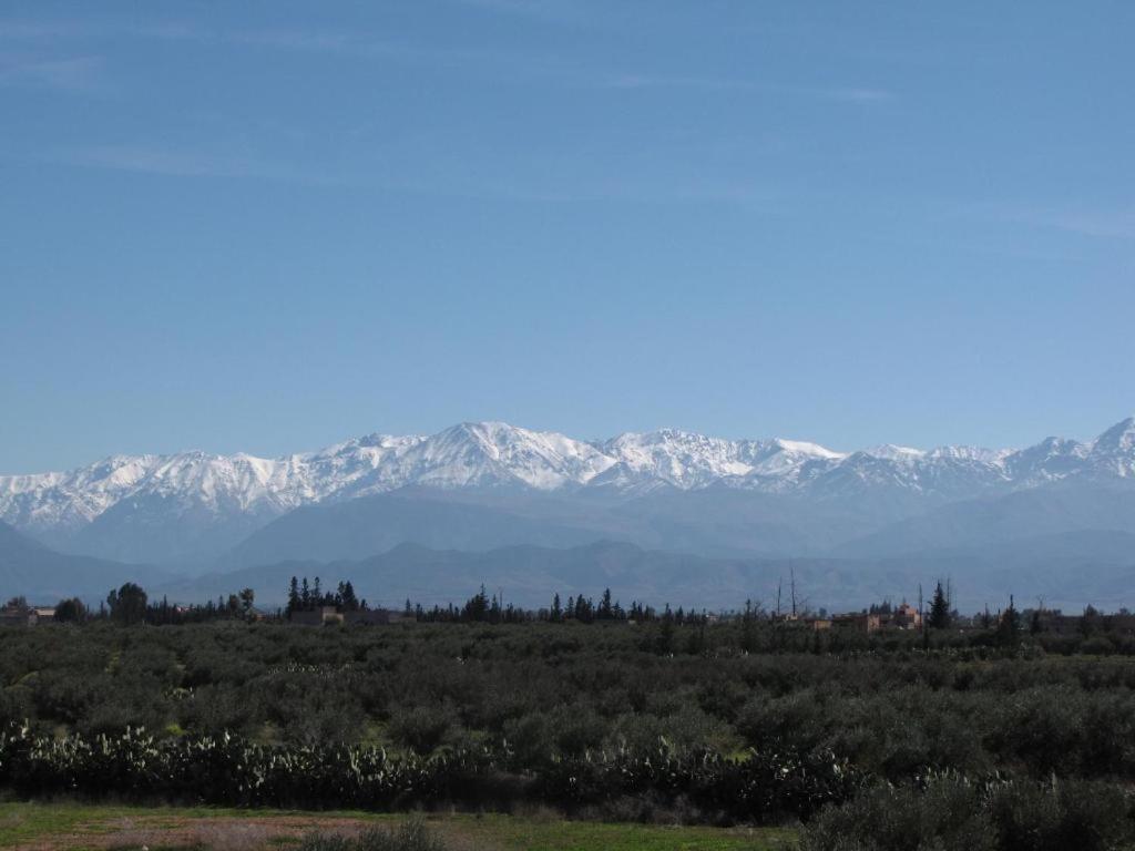 Villa Tata Marie Maison D'Hotes Marrakech Марракеш Екстер'єр фото